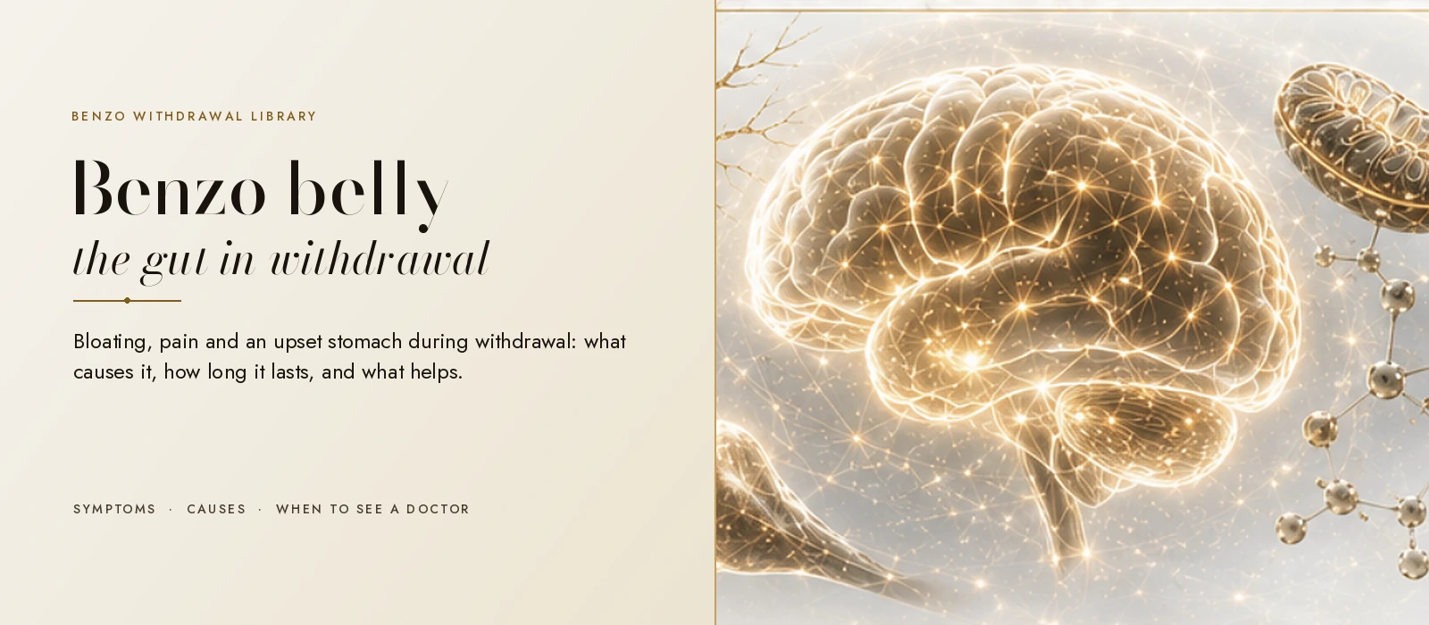 Benzo belly: the gut in benzodiazepine withdrawal