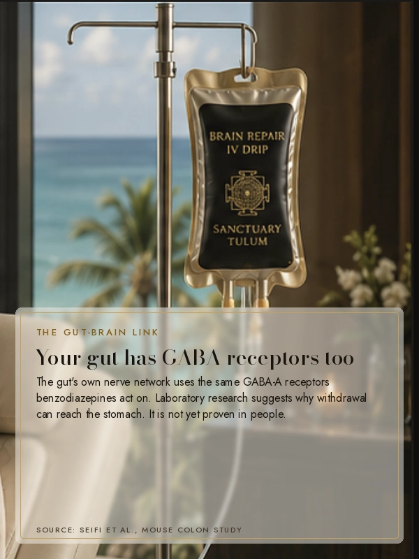 The gut has its own GABA-A receptors