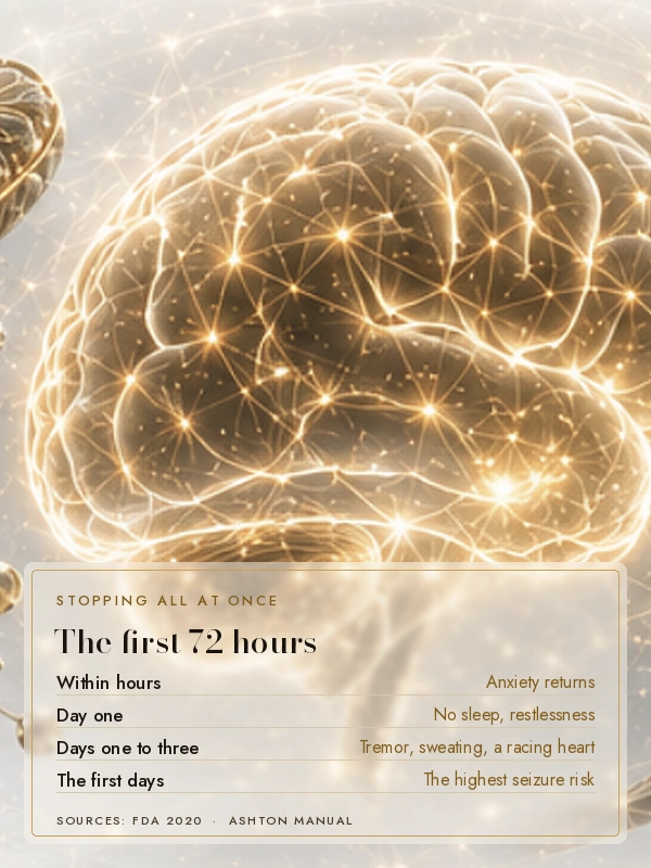 Golden brain cells with the words: the first 72 hours, rebound anxiety, no sleep, then the risk of seizures